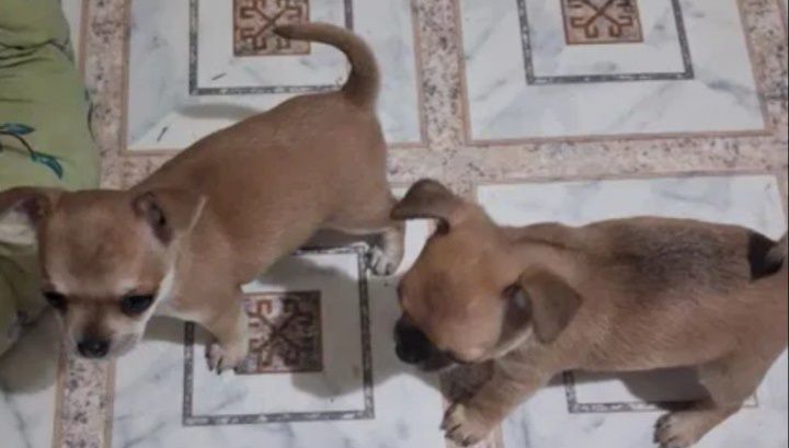 Подарки к РОЖДЕСТВУ .