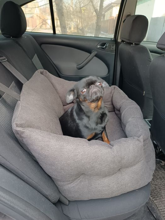 Автогамак для собак, автокрісла для собак