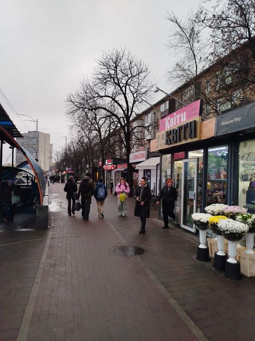 Оренда мафу вул.  Леоніда Каденюка 3 , 25м² Дарницька  пл.