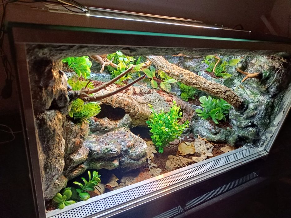 Terrarium tropikalne dla gekon 60x40x40