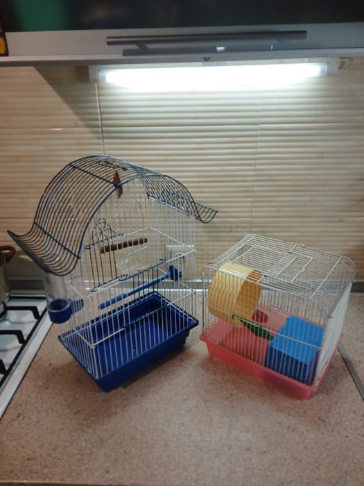 Клетки. Клетки..