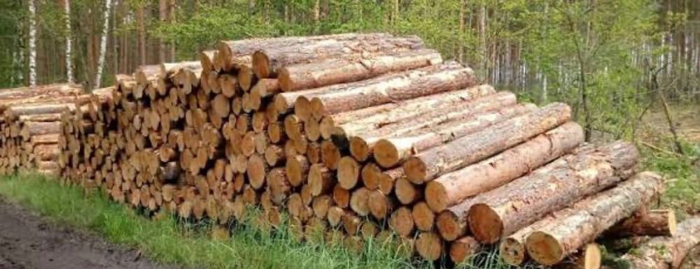 Łupanie i cięcie drewna