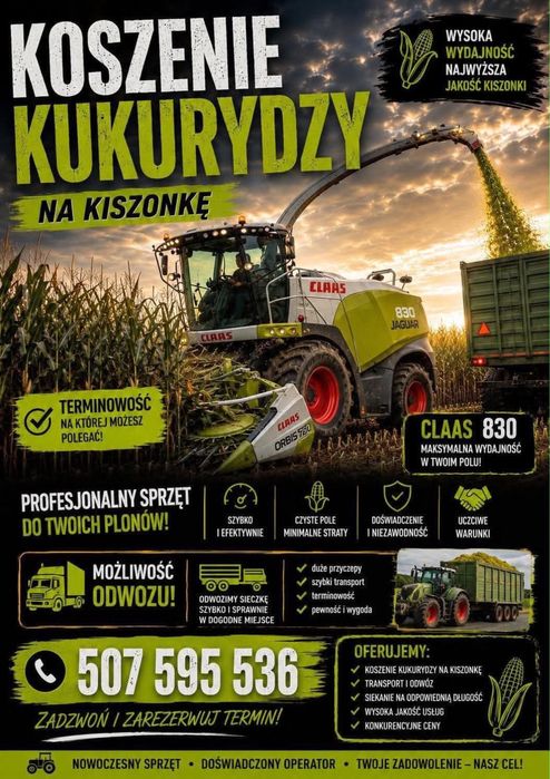 Koszenie kukurydzy na kiszonkę
