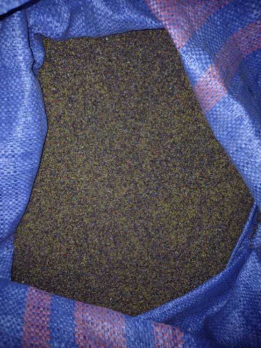 Nostrzyk biały i żółty zbiór 2025