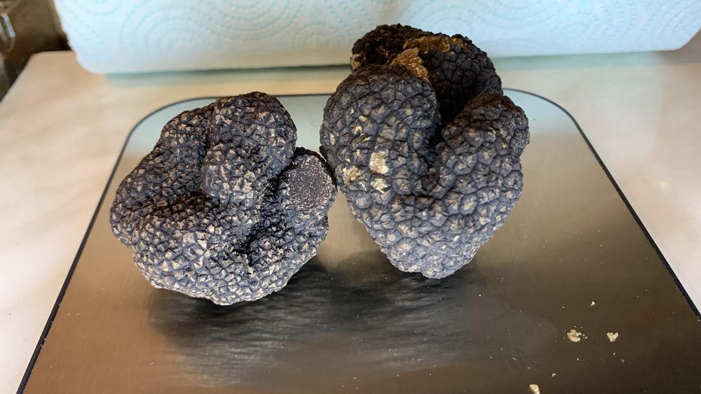 Трюфель чорний білий Італія Абруццо Свіжий гриб