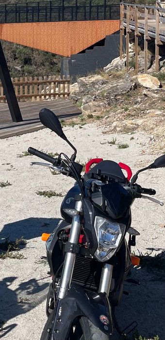 Benelli 302 2019