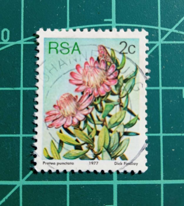 SELOS - ÁFRICA DO SUL 1 - 1977 - Flora - Plantas Protea