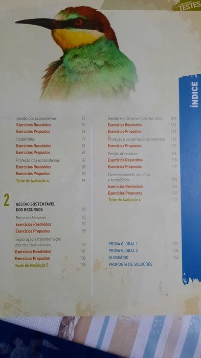 Preparar os Testes/ 8°Ano  - CIÊNCIAS NATURAIS - NOVO!