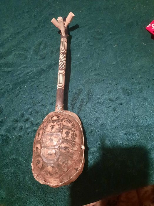 Ukulele ze skorupy żółwia.