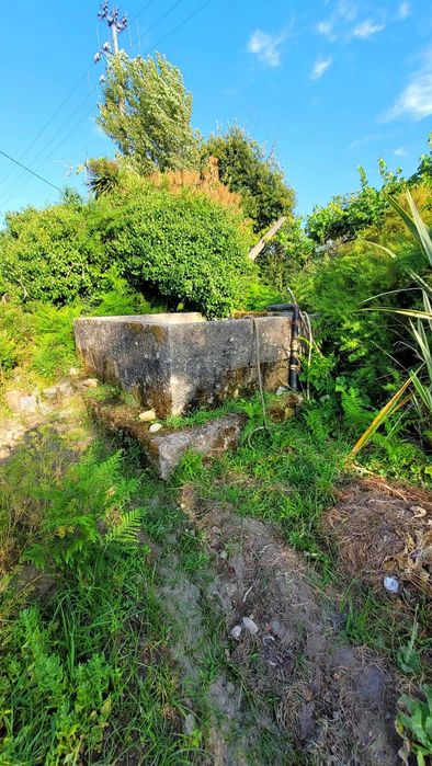 Arrenda-se terreno agrícola com armazém