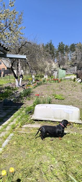 Продам будинок -дачу