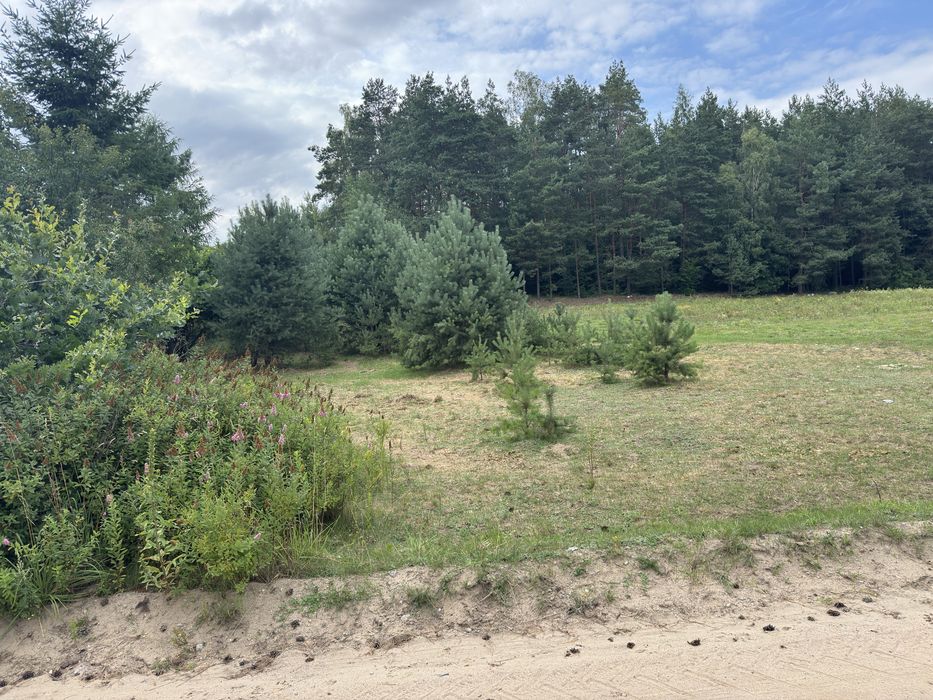 Dzialka budowlana Pinczyn - Widok 4
