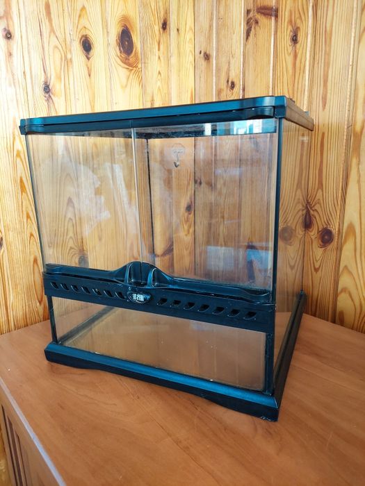 Тераріум для рептилій