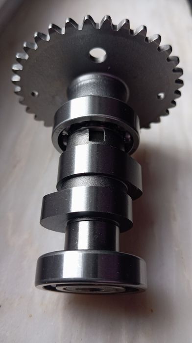 Cames e martelos novos a estreia