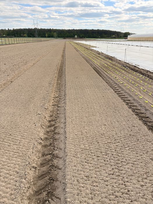 Maszyna do zagonów Comeb IS 130