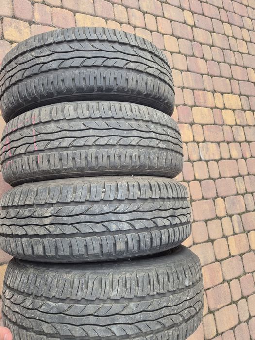 Opony letnie Dębica 185/60R15