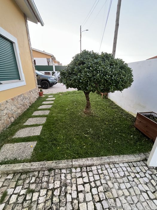 Limpeza de terrenos/ Prestação de Serviços /  jardins