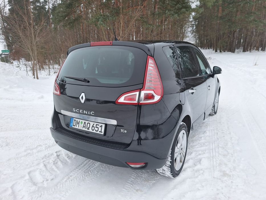 Ładny Scenic lift,  2010 rok, sprowadzony