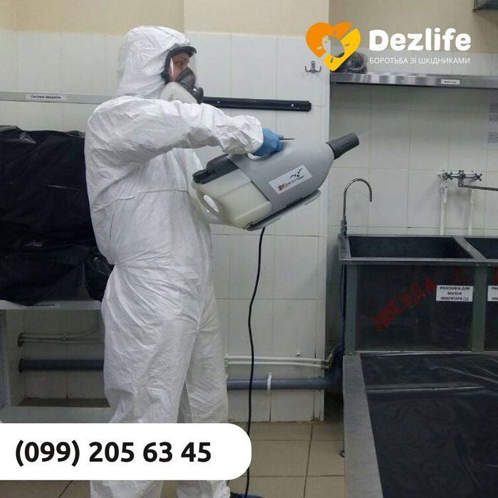 Винищуємо комах таргани клопи блохи та гризунів Безпечно Гарантія