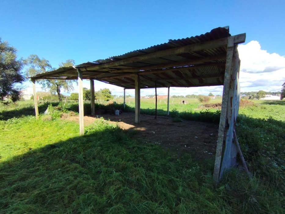 Base de vida em Grândola