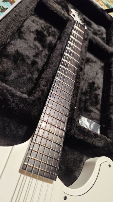 LTD Phoenix Arctic Metal + case