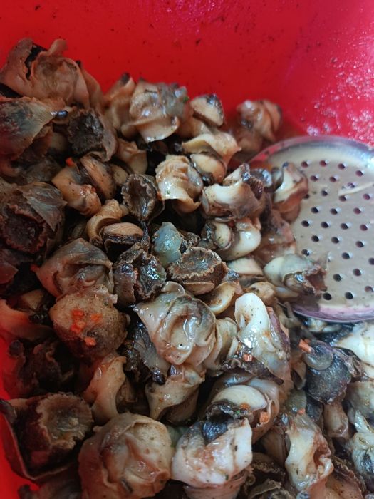 Рапани мариновані 1300грн 1 кг