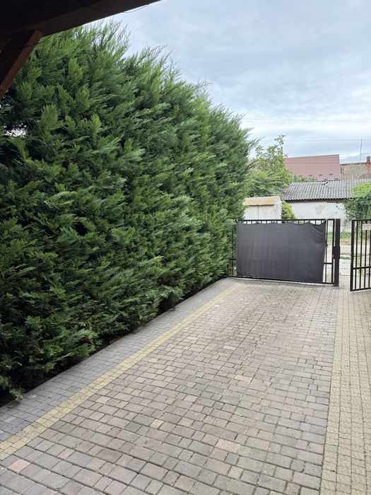 Шикарна студія в довгостроковий
