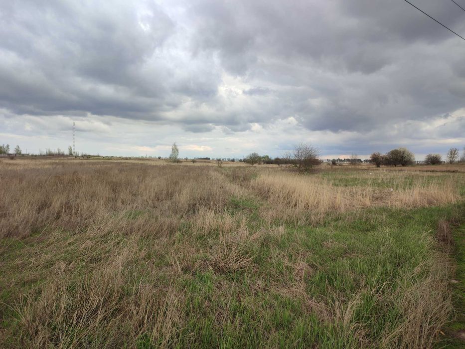 Земельна ділянка в с. Княжичі