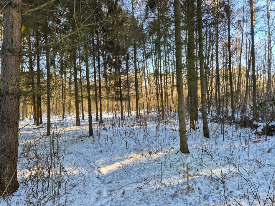 Atrakcyjna działka rolno- budowlana