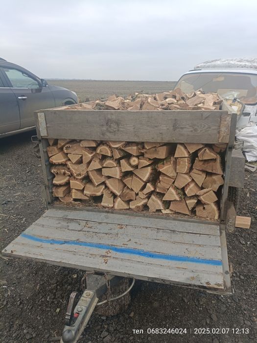 Дрова Нормальный продавец дуб 3000