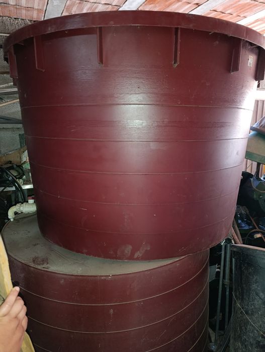 Dorna de Vinho ( Vindimas)