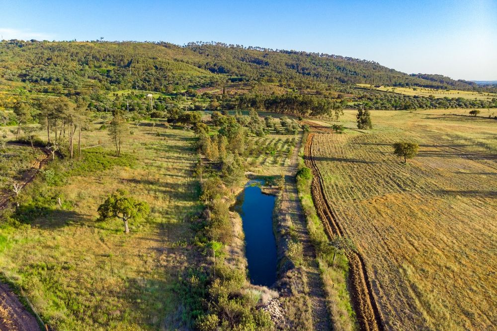 Terreno em Penamacor