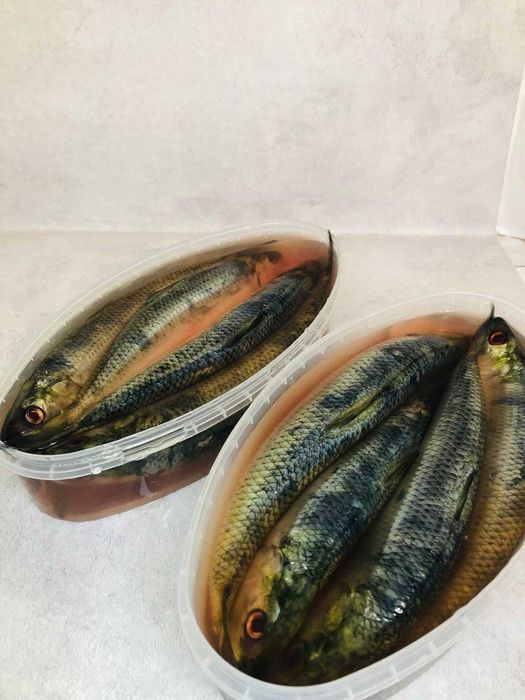 Дунайський оселедець малосольний (човник), дунайка з Вилкове, 4 шт