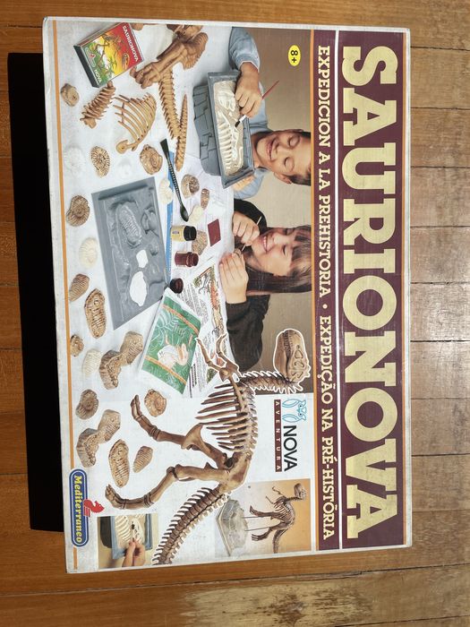 Saurinova Jogo Didatico Arqueologia