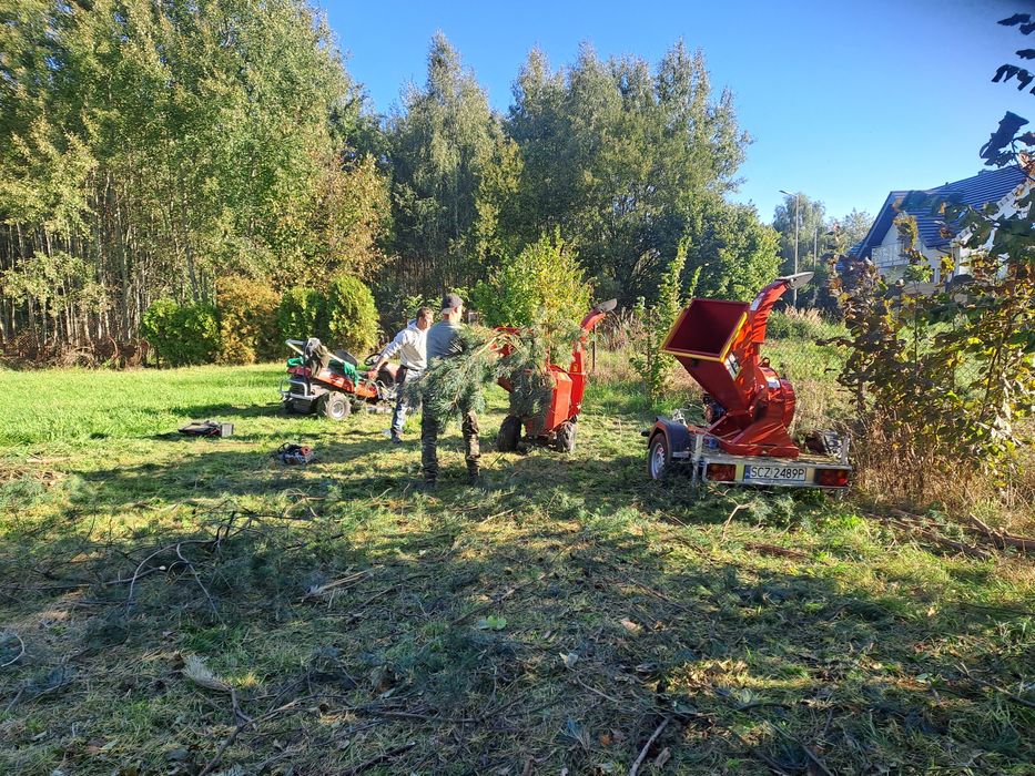 Wycinka drzew usługi rębakiem