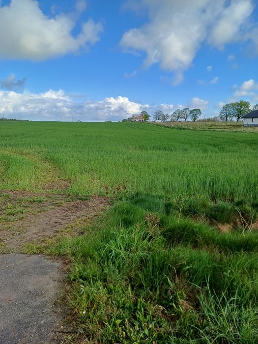 Działki budowlane
