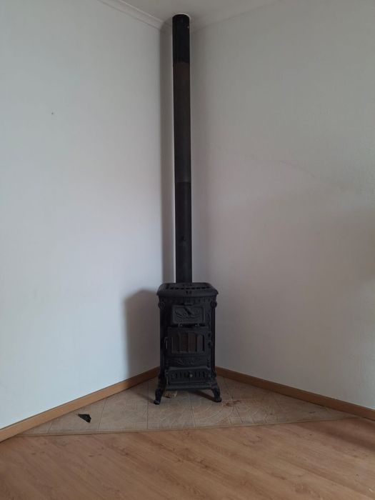 Salamandra Flamoliva