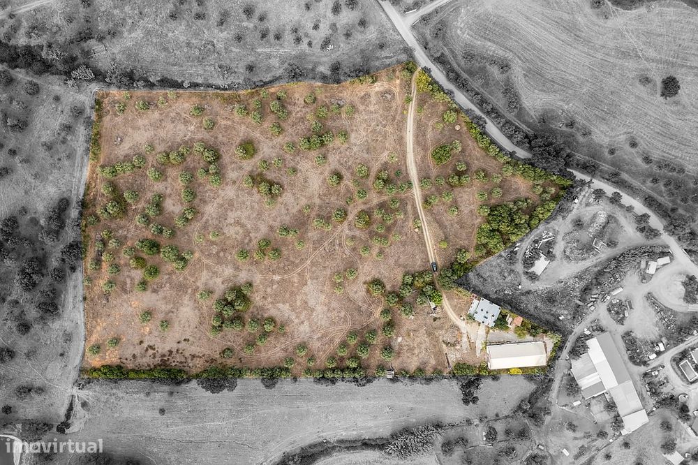Quinta de 33.000 m² c/ Armazém em Montemor-o-Novo, Évora