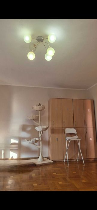 Дерево-квіткка, комплекс, лежанка, дряпалка (когтеточка) для котиків