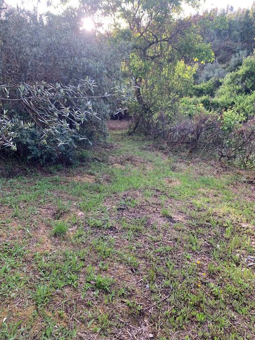 Terreno com palheiro em Ruinas