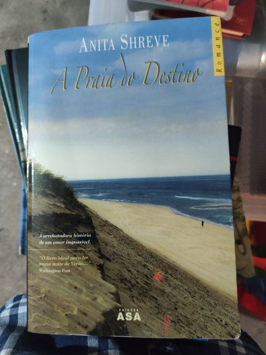 A praia do destino - Anita Shreve