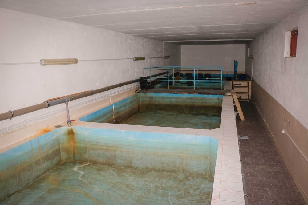 Оренда приміщення 400-2000м2 під виробництво