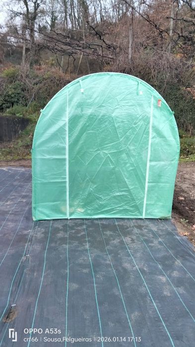 Estufa, hortaliças, plantas