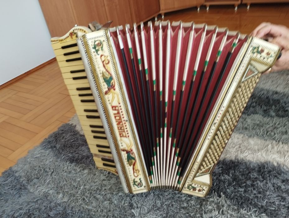Akordeon pianola 120 basow