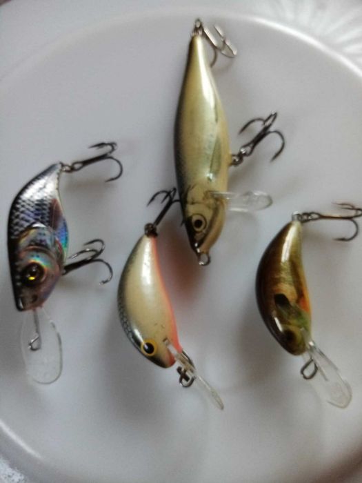 Wobler woblery salmo