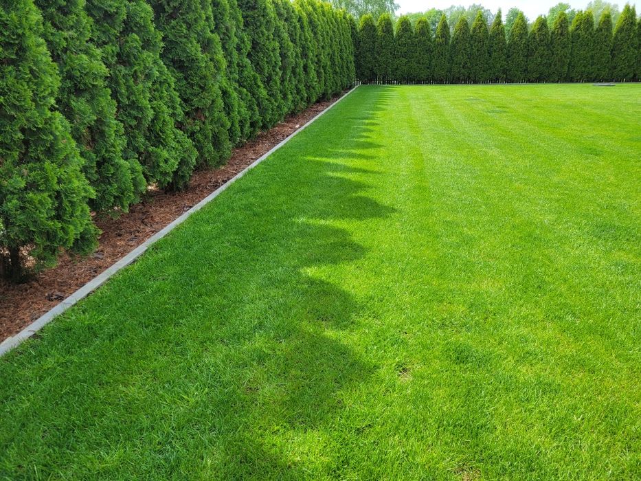 Glebogryzarka separacyjna