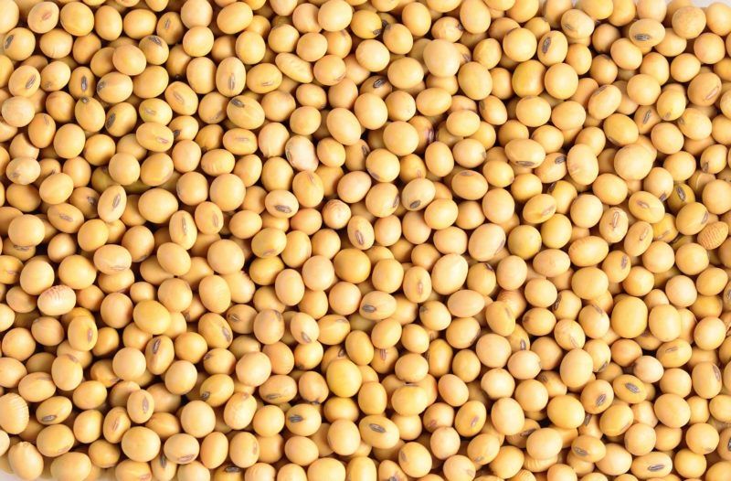 Соя, врожай 2025р. Ціна 12000