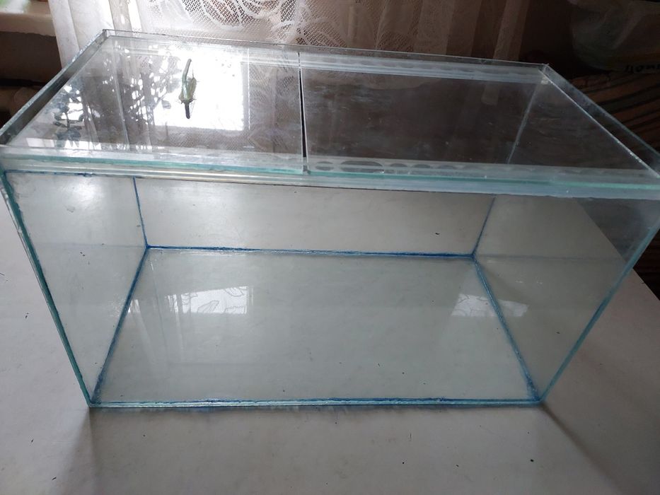 Аквариумистика ,аквариумы