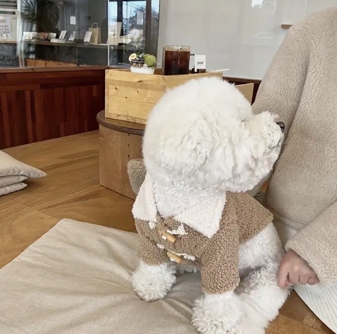 Одяг для собак різні розміри(нові)