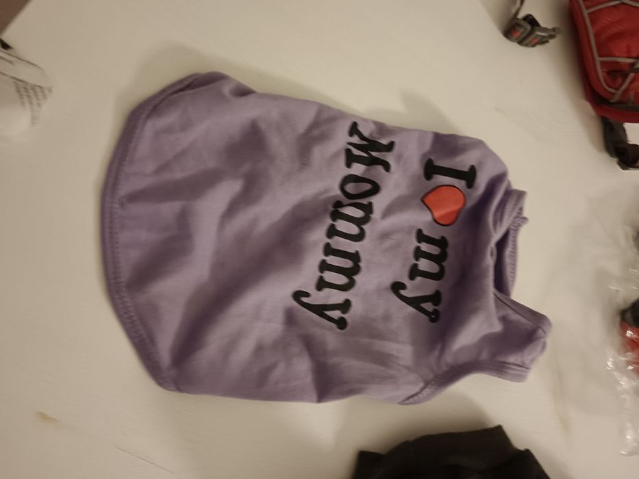 Wyprawka dla psa, obroża szelki sweter